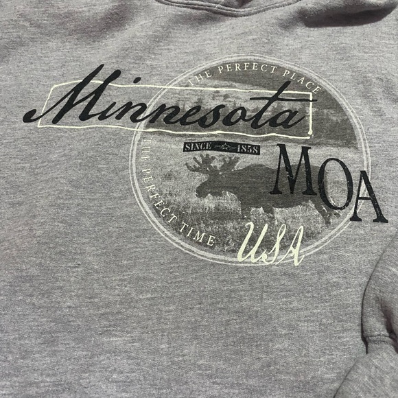 Mall of America Minnesota gray hoodie - Picture 2 of 4